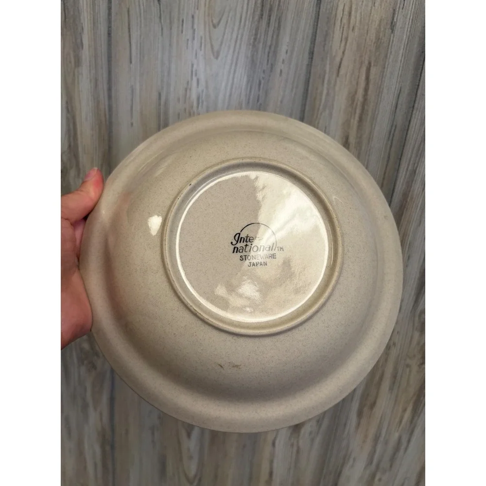 International Stoneware Japan Heartlands Soup Pasta Bowl Folk Art House 9 Inch